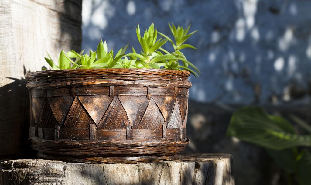 La Casa Del Tio Venancio Caracenilla Ngoại thất bức ảnh